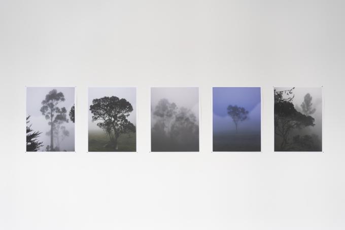 Galerie Reinhard Hauff / 2019 Wolfgang Flad